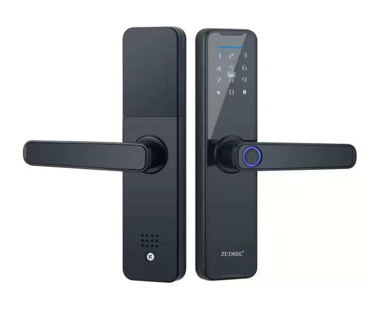 Room Door Lock: ZDSL-101WF
