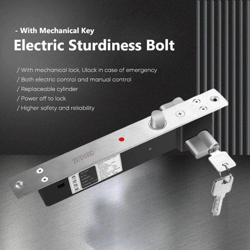 ZudSec Sturdiness Electric Bolt Lock with Mechanical Key