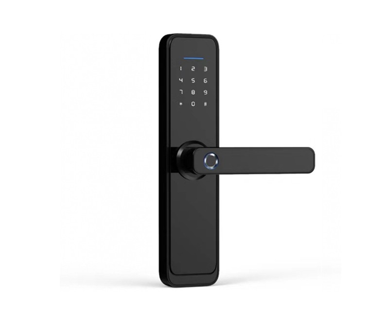 Room Door Lock: ZDSL-101ZB