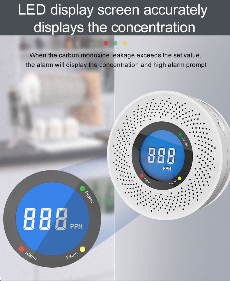 Carbon monoxide Detoctor(图6)