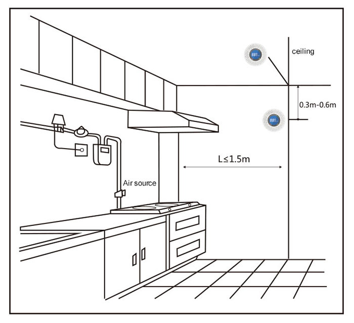 Carbon monoxide Detoctor(图1)